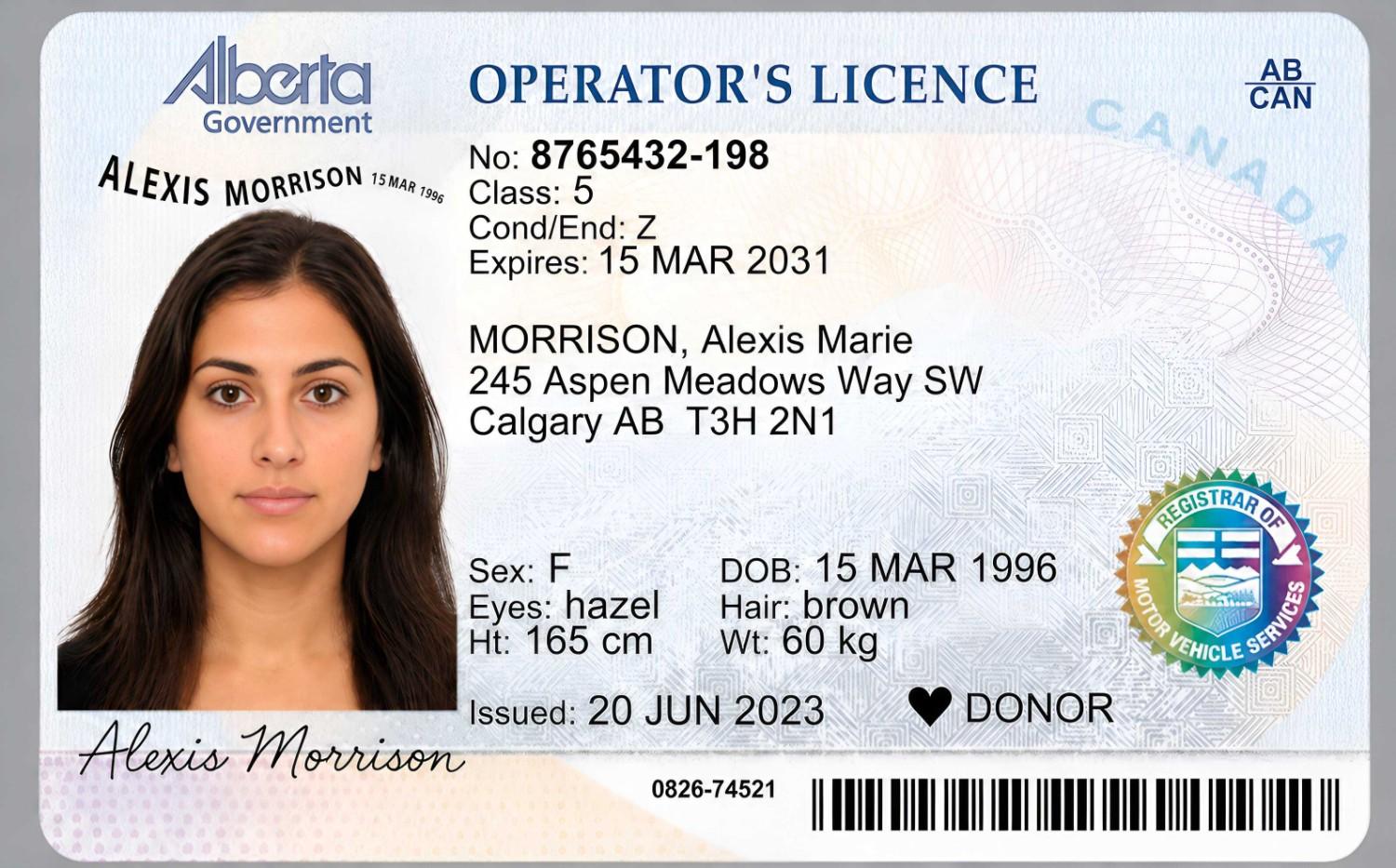 Driving License Sample